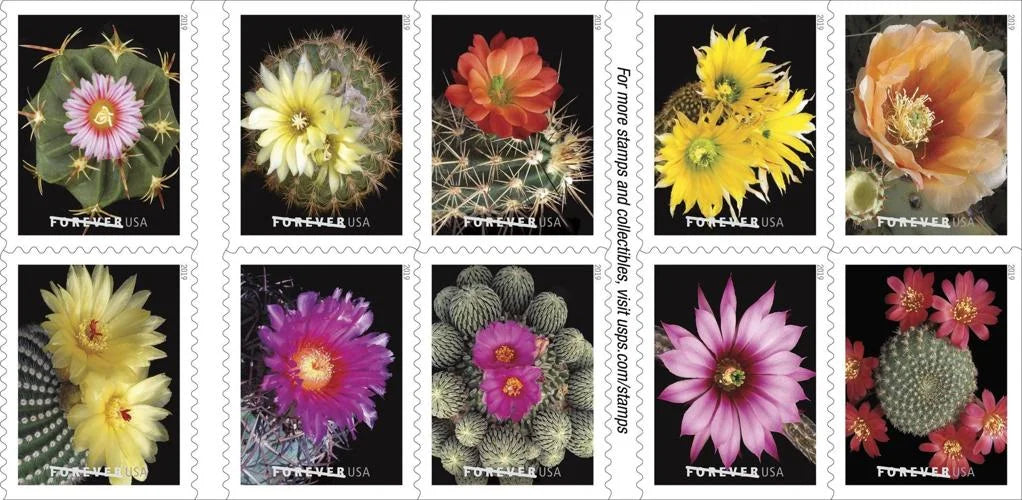 2019 Cactus Flowers Forever Postage Stamps 100 pcs
