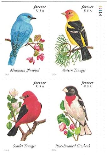 USPS Songbirds Forever Stamps - Booklet of 100 Postage Stamps