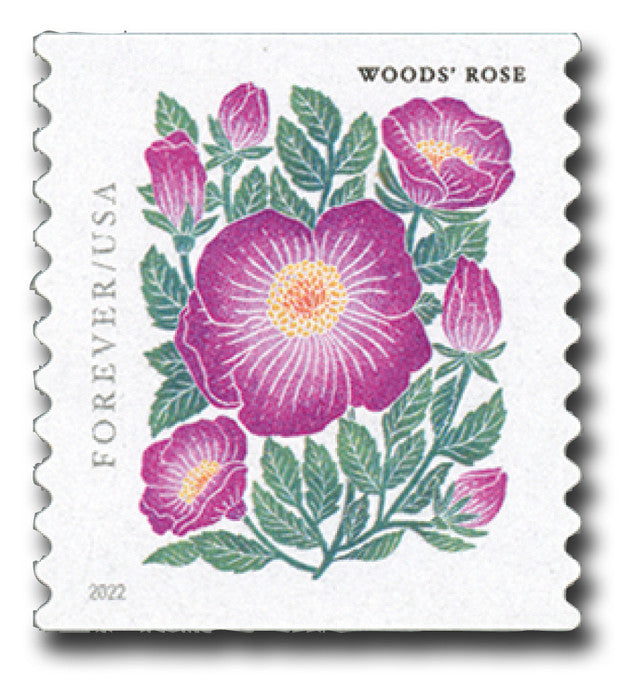 2022 Mountain Flora (booklet) Forever Postage Stamp 100 pcs