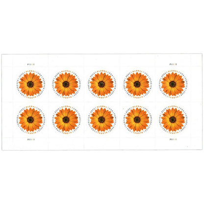 2022  Global African Daisy Stamps International 40 pcs